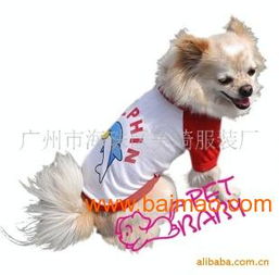 廠家供應(yīng)新款時尚寵物春夏裝，打造愛寵潮流新風(fēng)尚