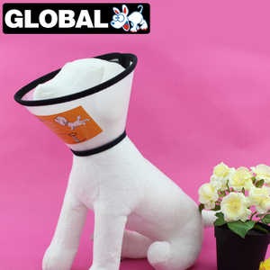 佺球寵物用品專營店 寵物生活服務領導者，僅此一天大放送！