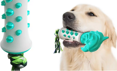 楚克奇寵物用品 多元產品線，滿足寵物全方位需求