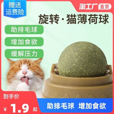 萌寵經(jīng)濟崛起 網(wǎng)購寵物用品成消費新趨勢